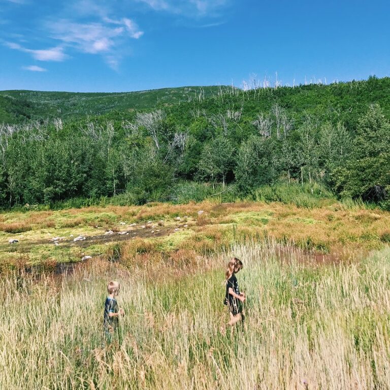 Utah family trails: Cascade Springs