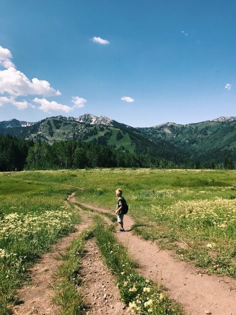 Utah family hikes - Willow Heights