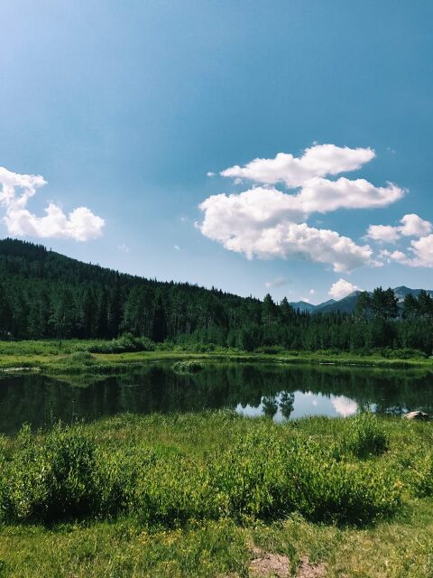 The lake at Willow Heights 