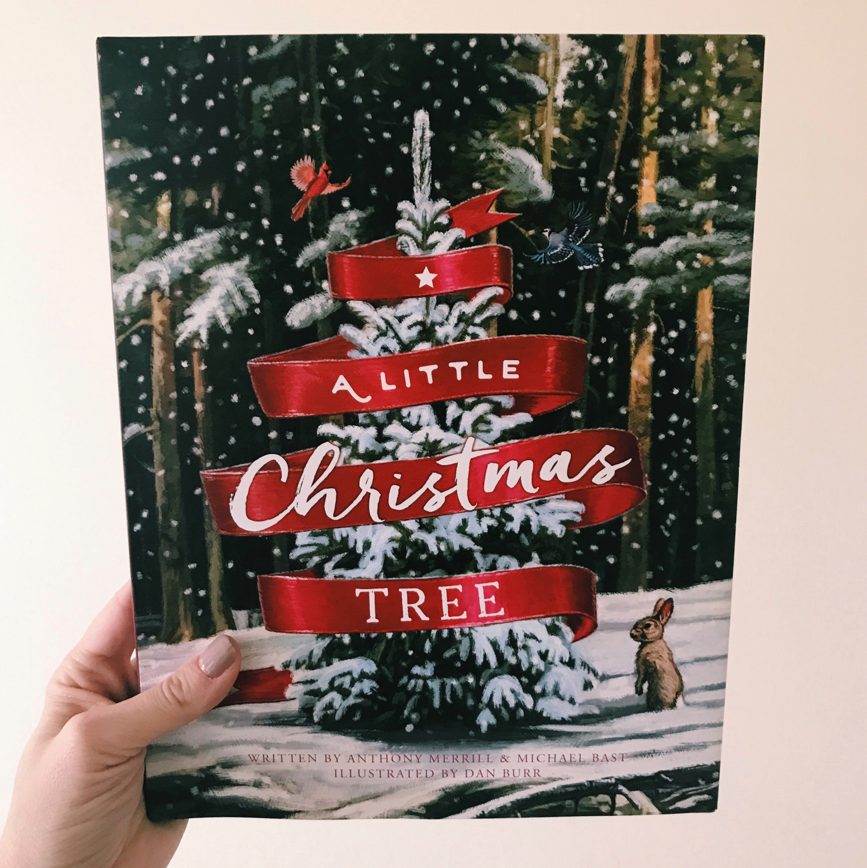 12 Christmas picture books for the 12 days of Christmas Talk Wordy to Me
